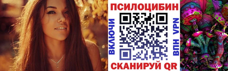 закладки  Пучеж  Галлюциногенные грибы мухоморы 